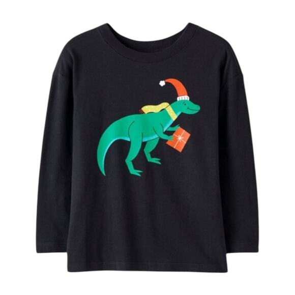 Hanna Andersson NIB “Giftasaurus” Long Sleeve Graphic Tee. Size 2. - Picture 1 of 1
